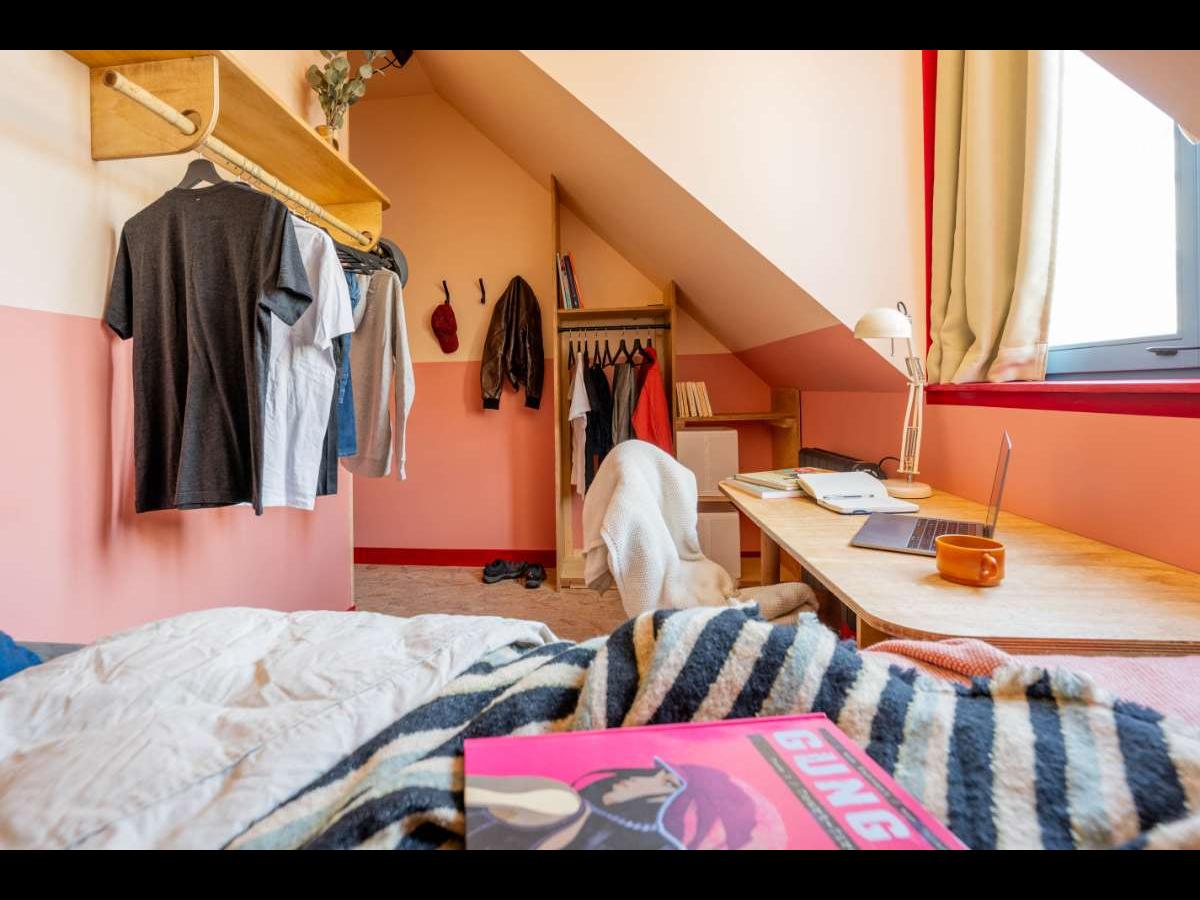 Colocation à Toulouse : Dispo novembre · coloc calme · Saint-Cyprien · Toulouse (photo 2/6)
