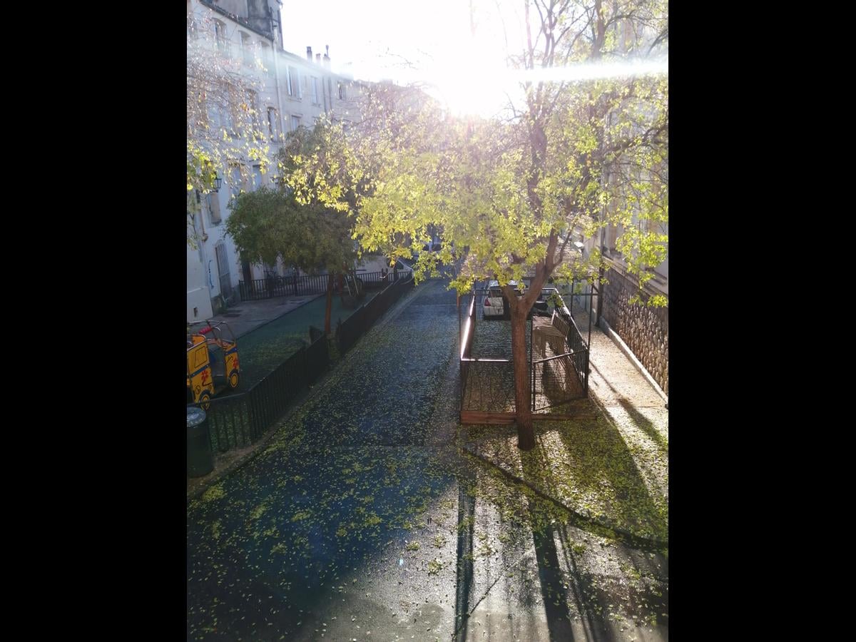 Colocation à Lorient — Dispo février · coloc calme · Lorient Colocation à Lorient — Dispo février · coloc calme · Lorient