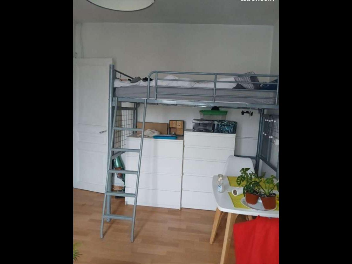 Colocation à Angers : Chambre lumineuse · Angers — 2 pièces au total (photo 3/6)