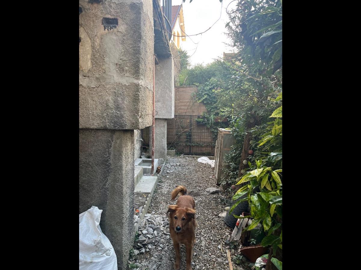 Colocation à Paris : 5 colocs / chambre dans appart 51 m² · Paris (photo 2/6)