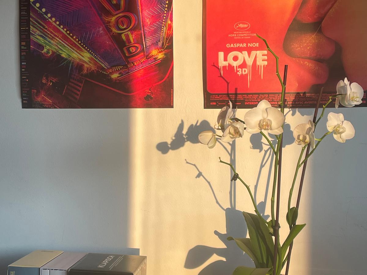 Colocation à Sète : Appartement 3 pièces · 92 m² — Centre · Sète (photo 5/6)
