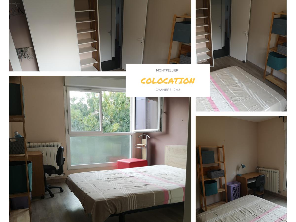 Colocation à Lyon : Chambre lumineuse · Lyon — 4 pièces au total (photo 4/6)