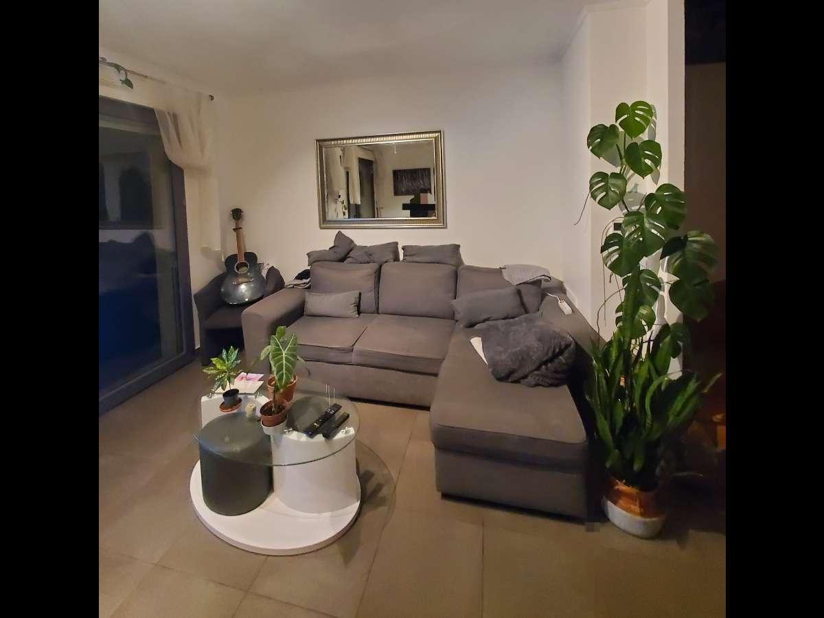 Colocation à Périgueux — Chambre avec bureau · Périgueux (54 m² le logement)