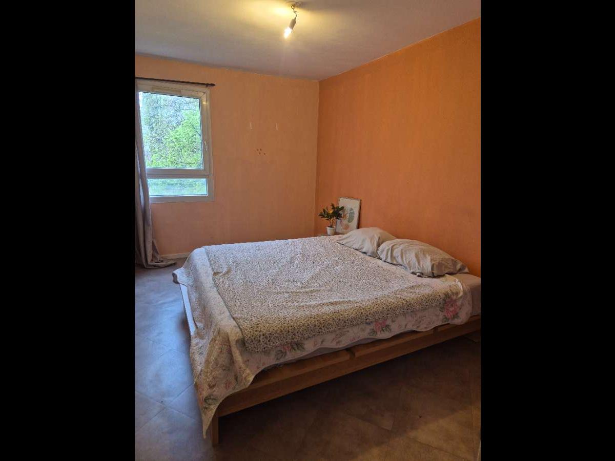 Colocation à Cannes : Dispo novembre · coloc calme · Croisette · Cannes (photo 3/6)