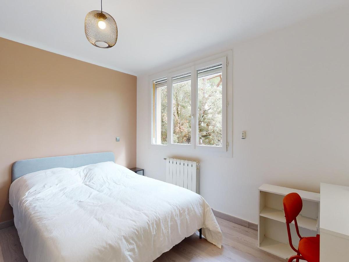 Colocation à Montpellier : Dispo mai · coloc calme · Écusson · Montpellier (photo 5/6)