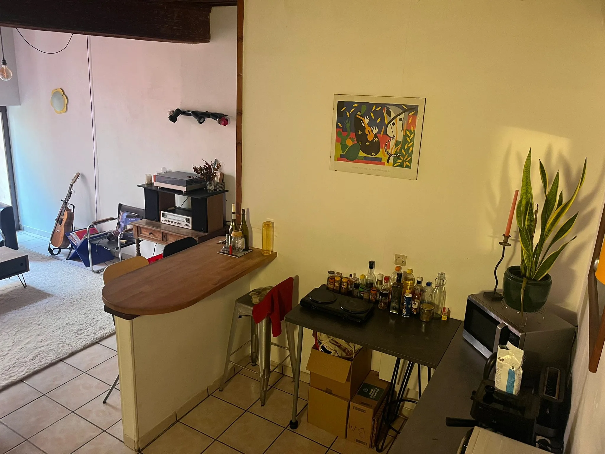 Colocation à Lyon : coloc T3 1er arrondissement (photo 4/7)