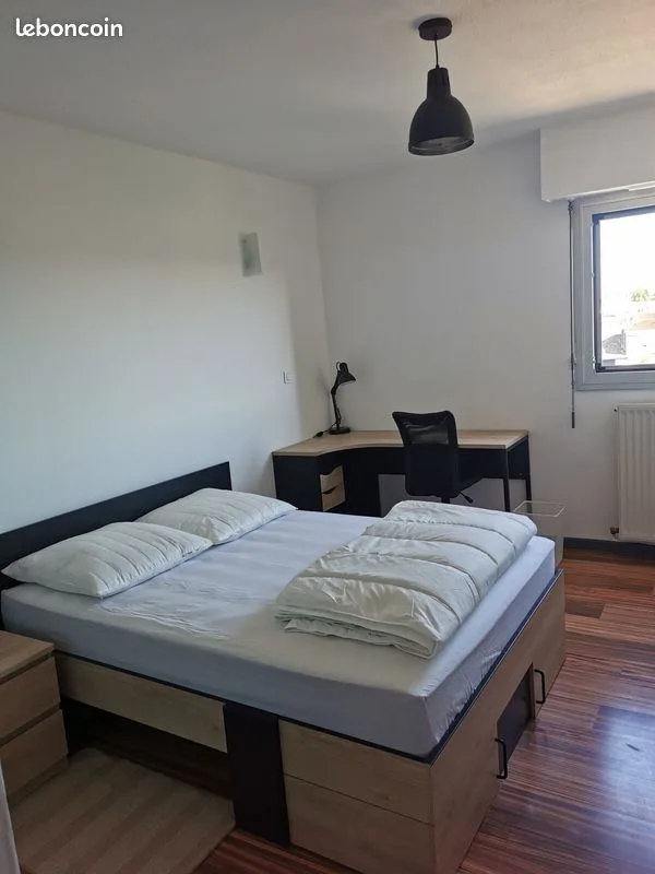 Colocation à Bordeaux : Colocation bordeaux judaique (photo 3/5)