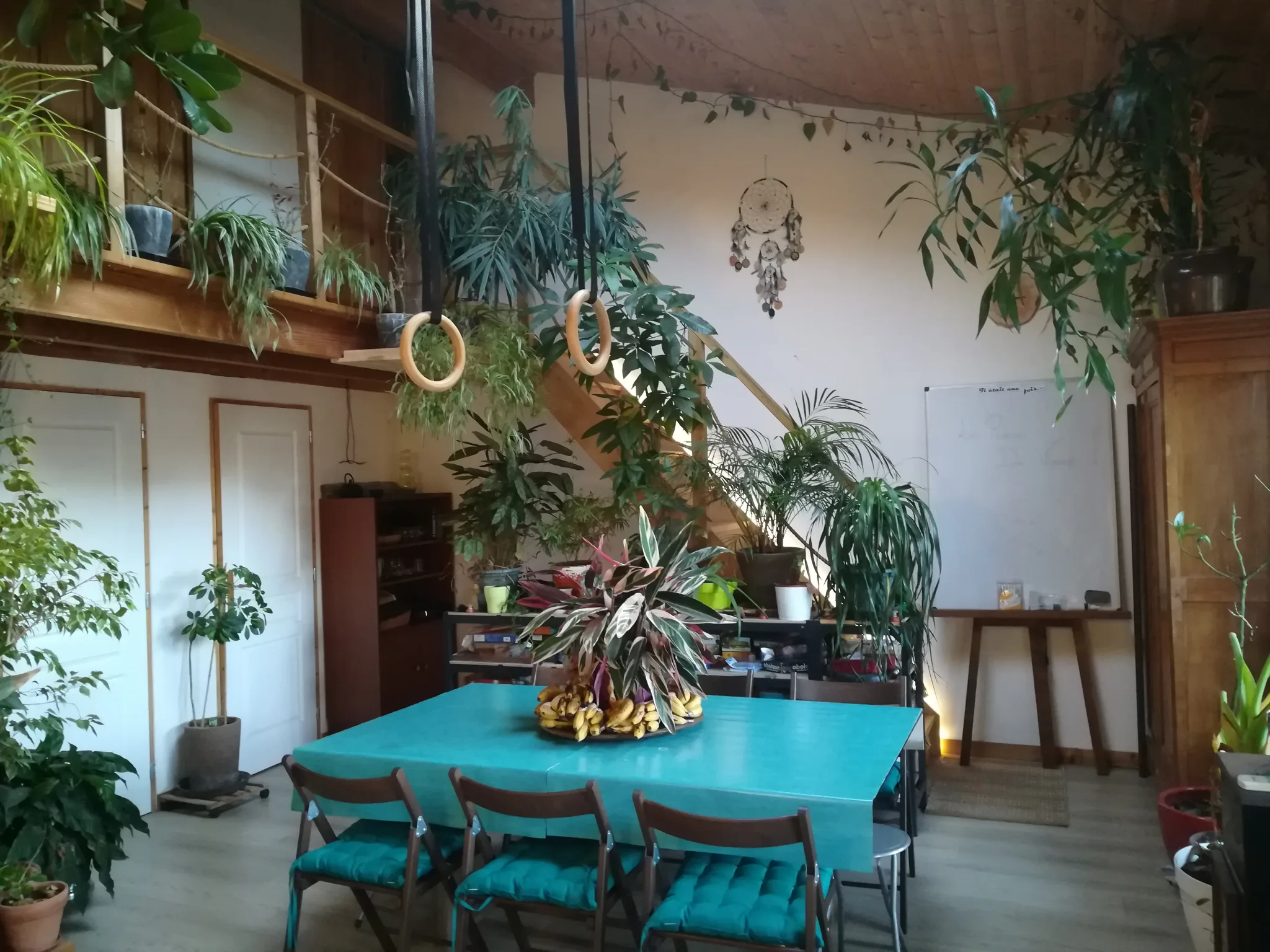 Colocation grand logement